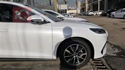 بي واي دي سيل 06 DM-i